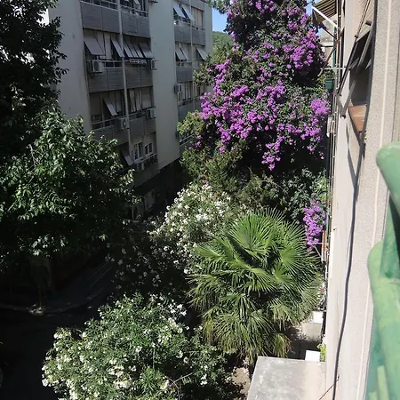 Ruzmarin * Split